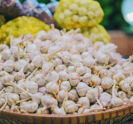 Health Benefits of Purple and White Garlic