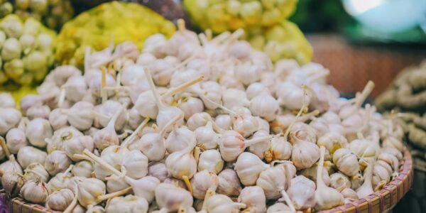 Health Benefits of Purple and White Garlic