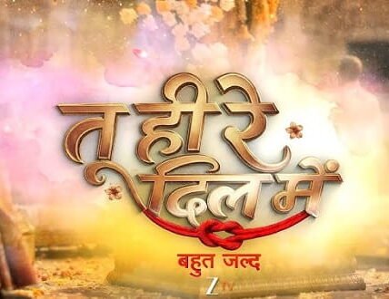 Tu Hi Re Dil Mein Serial