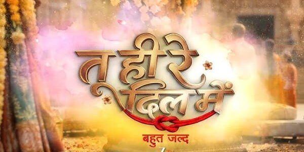 Tu Hi Re Dil Mein Serial