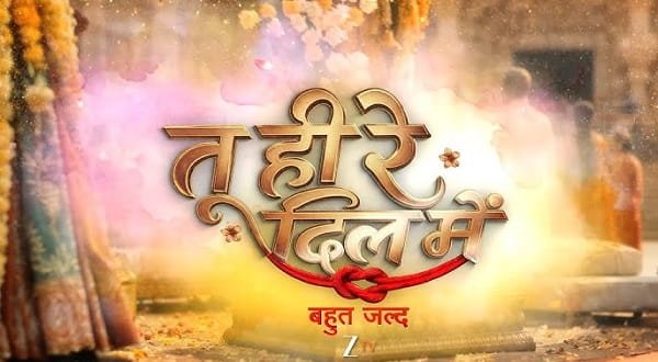 Tu Hi Re Dil Mein Serial