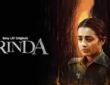 Brinda Web Series
