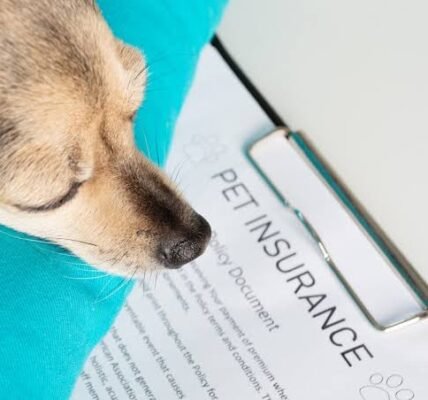 Pet Insurance